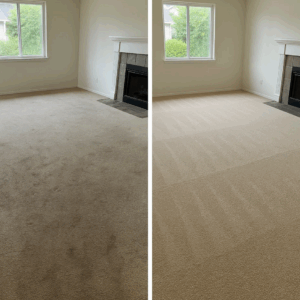 Best Residential Carpet Cleaning