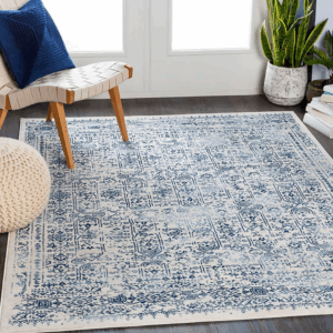 Best rug cleaning service