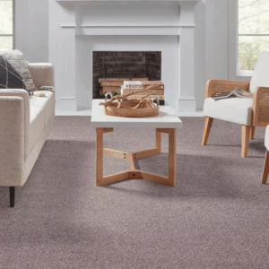 Modern home with clean carpet