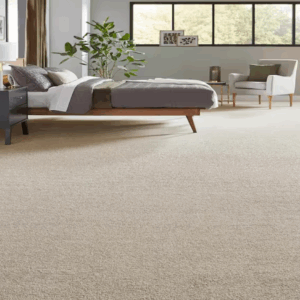 Modern home with clean carpet