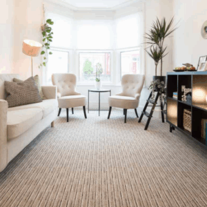 Modern home with clean carpet